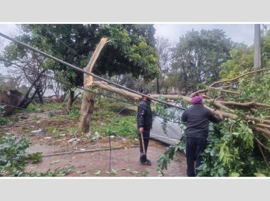 PSPCL staff brave stormy conditions to restore power across Punjab....by Manmohan Singh