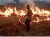 Punjab Stubble Burning: Has farmers’ plight become a political battleground?……by Gurpreet ‘Lahori’