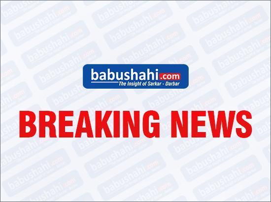 Patiala Road Accident: Punjab Child Rights Panel Seeks Reports from DC and SSP

