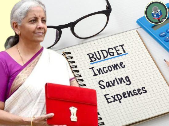 Budget 2025: FM proposes ID cards for gig workers, UPI-linked credit cards for street vendors
