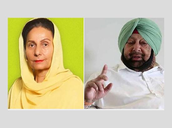 Will Capt. Amarinder Singh Return to Congress? Maharani Preneet Kaur Responds ( Watch Video ) 
