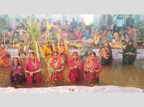 Four-Day Chhath Puja celebration concludes with devotion and festivity in Ferozepur