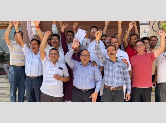 Chemists in Ferozepur back state-level protest over online medicine supply policy