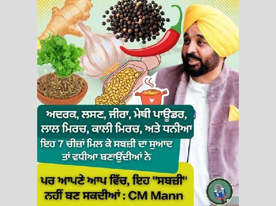“Adrak, Lasan, Jeera… 7 Masale Sabzi Nu Vadiya Banaunde Ne, Par Khud Sabzi Nahi Banne”: CM Mann’s jibe after AAP MPs exit row