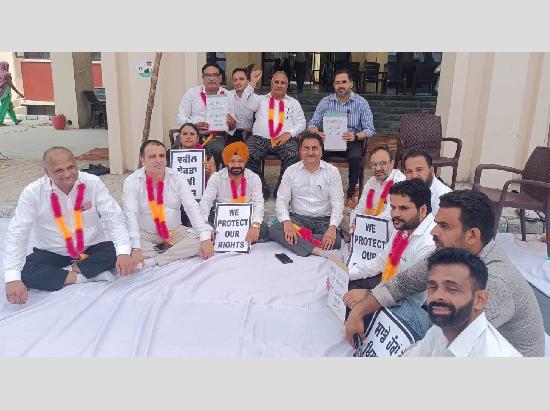 District Bar Association Ferozepur declares hunger strike until LADC policy is withdrawn 

