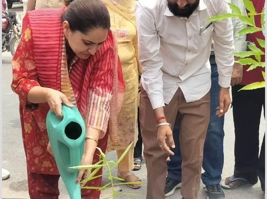 DC launches district-level ‘Tree Plantation’ drive in Fazilka