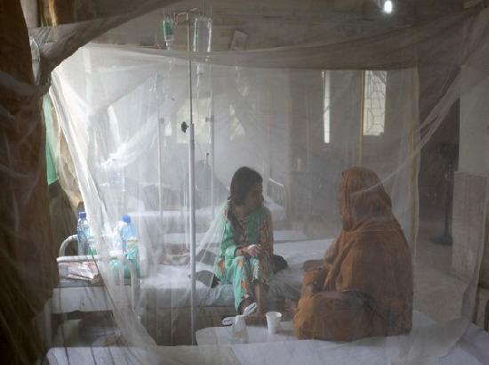 Pakistan: Rawalpindi declares dengue emergency amid alarming rise in cases