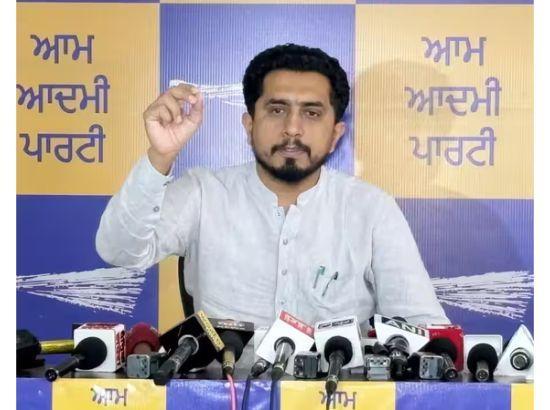 AAP MLA Dinesh Chadha challenges Bikram Majithia: ‘I’ll donate assets worth even Rd 100 crore to you’'