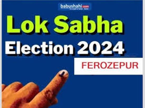 Post Poll Lok Sabha 2024 Analysis: Major political improve poll percentage in Ferozepur