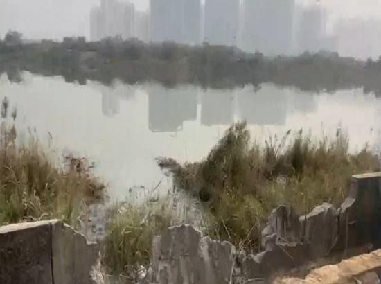 Noida techie death case: MZ Wiztown Planners CEO Abhay Singh arrested