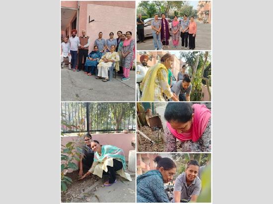 Bequest Gratitude Foundation marks International Women’s Day with mega plantation drive in Chandigarh