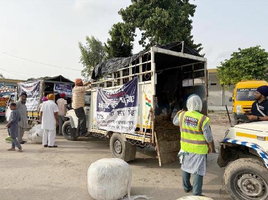 Educate Punjab Project supports flood victims with 20 dairy animals in Ferozepur