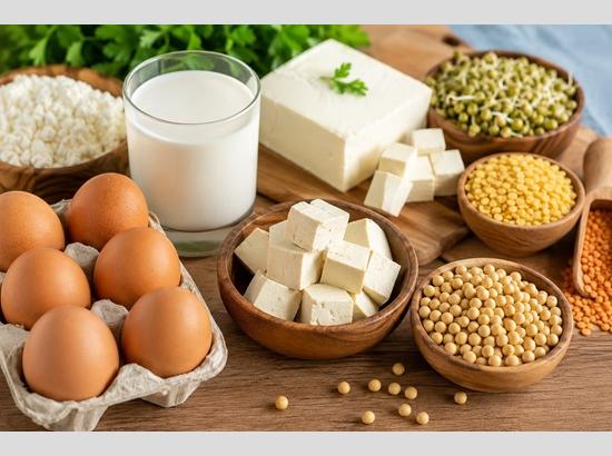 Eggs remain the most affordable, complete protein for schoolchildren: Experts