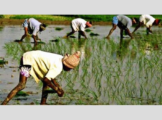 Haryana farmers receive Rs 335 crore under PM Kisan Samman Nidhi Yojana