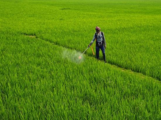 Fertilisers Under Scrutiny: Centre directs states to crush black marketing, ensure quality for farmers