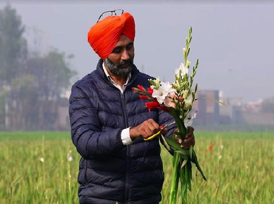 Farmers in Punjab, Haryana reap benefits of diversification with floriculture, pearl farming