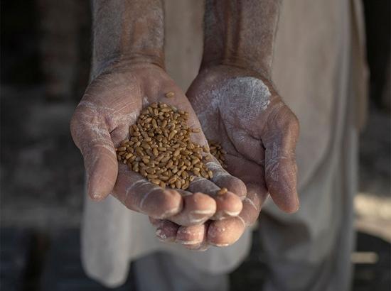 Pakistan’s food supply falls short of healthy diet needs, FAO warns; vegetables and fruits face major gaps