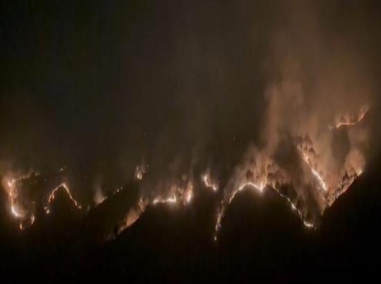 Himachal: Massive forest fire breaks out in Solan district