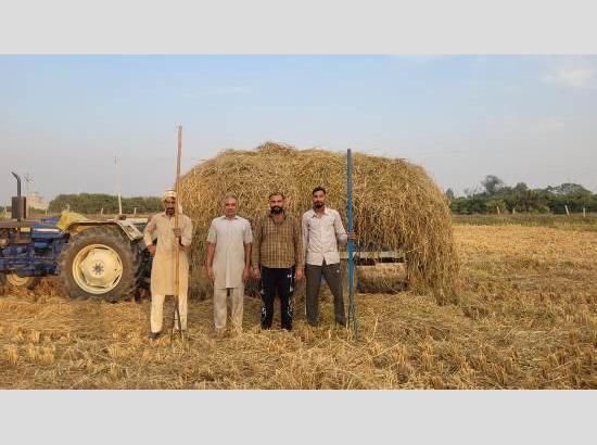 Fazilka village leads  in sustainable farming with paddy straw mulching