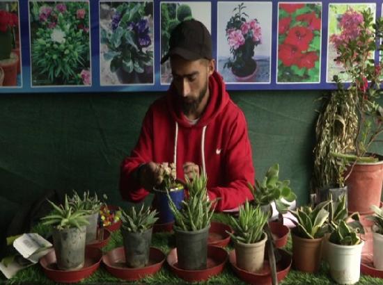Gardening emerges as new hobby among J-K youth amid COVID-19 lockdown