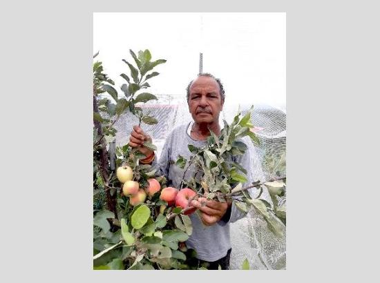 Bilaspur Apple Grower to Receive Padma Shri for Revolutionizing Apple Cultivation in Hotter Regions ( Check List of Awardees)