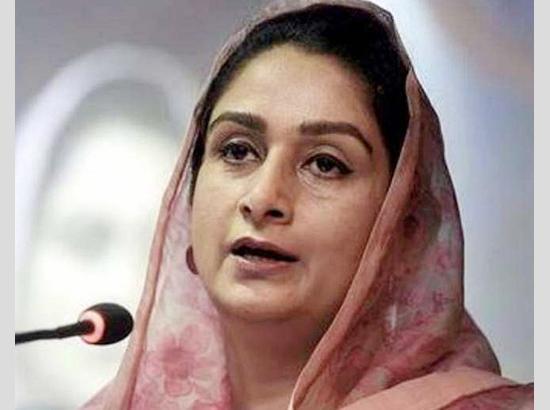 Harsimrat Badal raises alarm over drug trafficking in Punjab in Lok Sabha; Seeks clarity from Centre