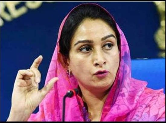 MP Harsimrat Badal moves private members bill to make MSP for crops legal guarantee