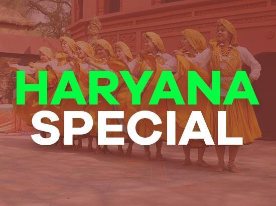 Haryana plants over 15 lakh trees under statewide mega plantation drive