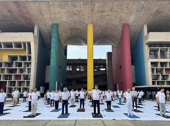 International Day of Yoga 2025 celebrated at Punjab and Haryana High Court