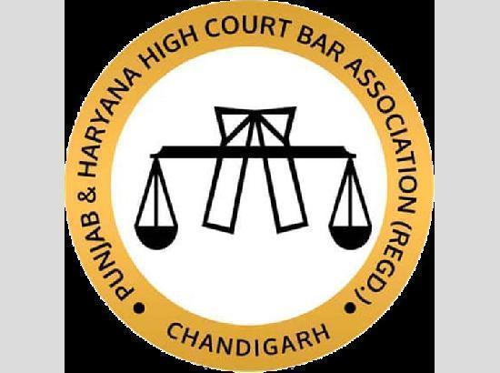 Punjab and Haryana High Court Bar Association polls 2023: Read final list of candidates