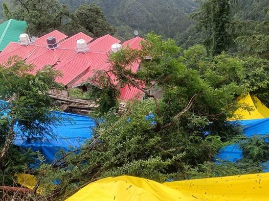 Himachal: Heavy rain triggers landslide scare in Shimla's Sanjauli, several houses affected