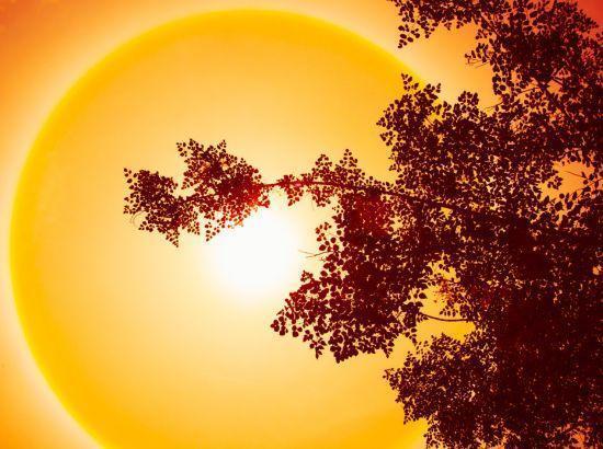 Heatwave tightens grip on Punjab, Haryana, Chandigarh; Delhi to hit 42°C