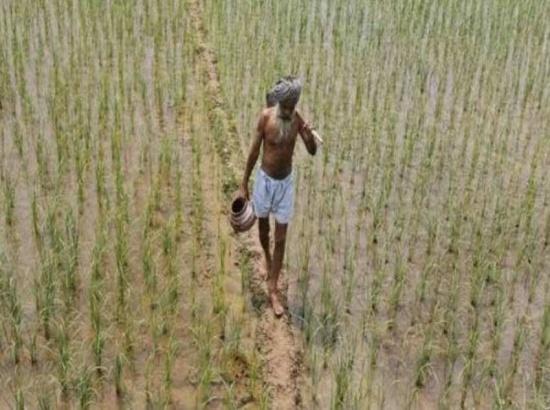 What is the average landholding of a farmer in Punjab? Reveals Govt's latest data