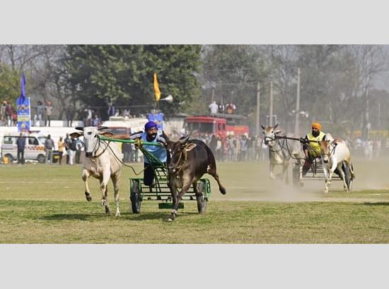 Agriculture Minister Gurmeet Khudian inaugurates 86th Kila Raipur Rural Olympics