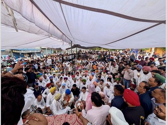 Drug Menace Has Robbed Punjab’s Youth of Their Future: Sachin Pilot 