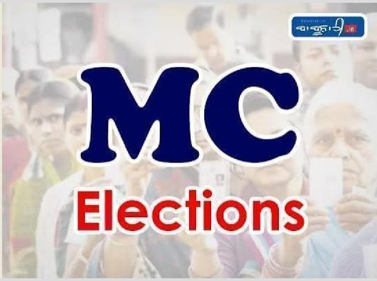 AAP shines in Jalalabad and Mamdot, Congress sweeps Guruharsahai in Ferozepur Civic Polls; Watch Video