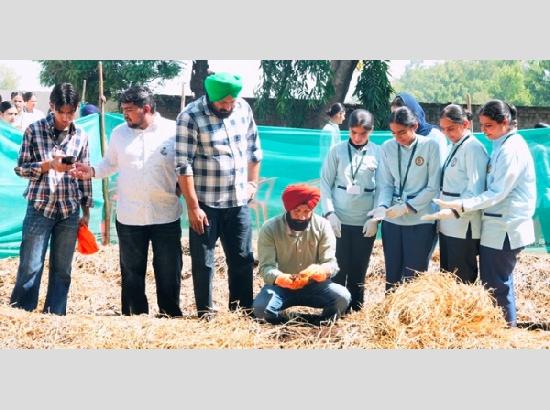 Vermicomposting Workshop organised under ‘The Green Carnival’ 