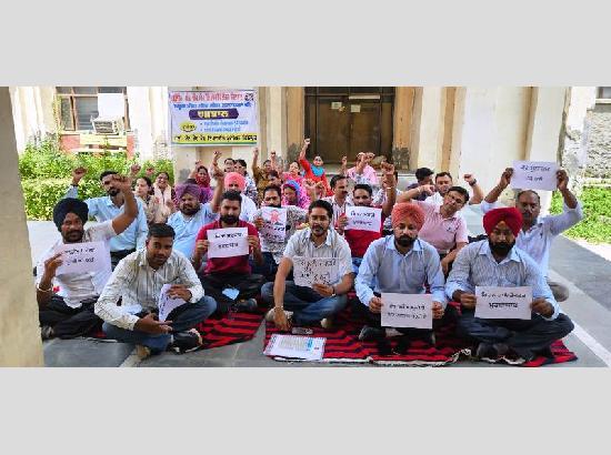 Punjab govt employees strike: OPD services disrupted across hospitals over pending demands
