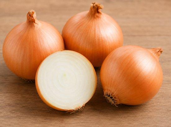 Govt raises onion procurement price by 13% to Rs 2,125/quintal to ensure better returns for farmers
