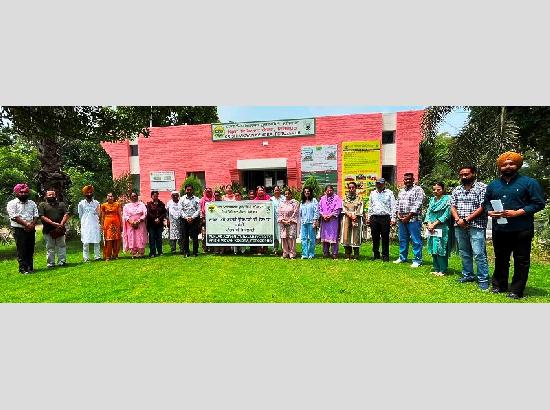 PAU-KVK organises 5-Day training camp on soap and household cleaning products