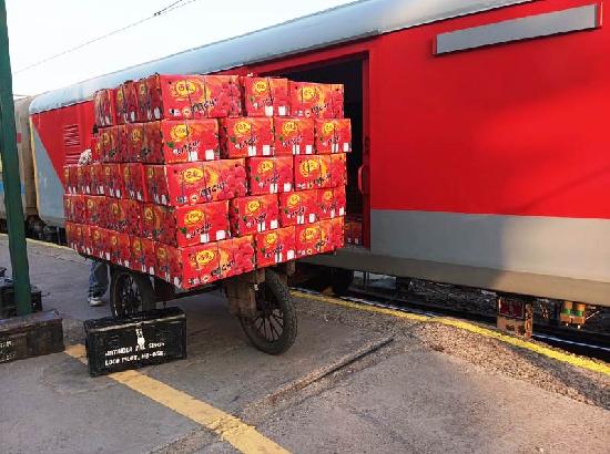 Ferozepur Rail Division emerges as major rail loading hub with record perishable fruit transportation