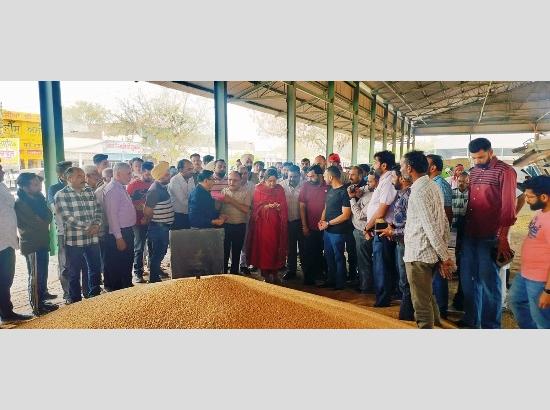 7.5 lac MTs wheat arrival expected in Fazilka, 95 centres set up for procurement