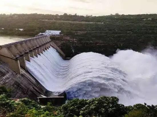Bhakhra Dam to be desilted, Union Ministry forms Committee