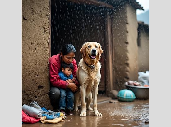 Guardian on Four Legs: How a pet dog saves family from deadly cloudburst in Mandi