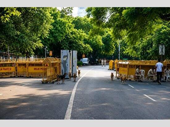 Jantar Mantar restored after 36-day CJP protest ends; Massive oversight clean-up clears 60 tonnes of waste