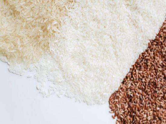 Modi Cabinet approves continuation of free fortified rice supply across government schemes till 2028