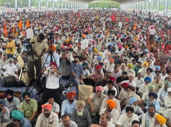 Punjab employees stage massive protest, announce August 27 statewide strike call; Watch Video