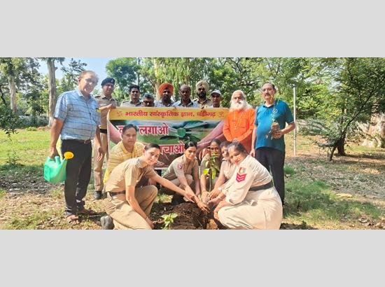 Chandigarh Police, Bharatiya Sanskritik Gyan Sangathan hold tree plantation drive on World Environment Day