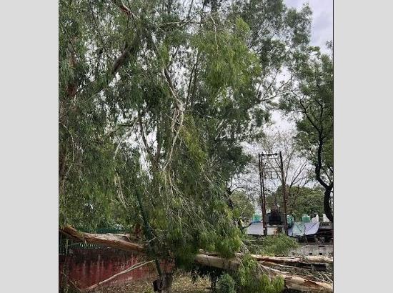 CPDL restores power in Chandigarh within hours after storm-related disruptions