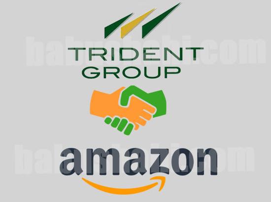 Trident Property Group